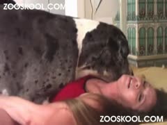 Dark brown, precious beastiality For a dog, the novice slips her trousers aside.
